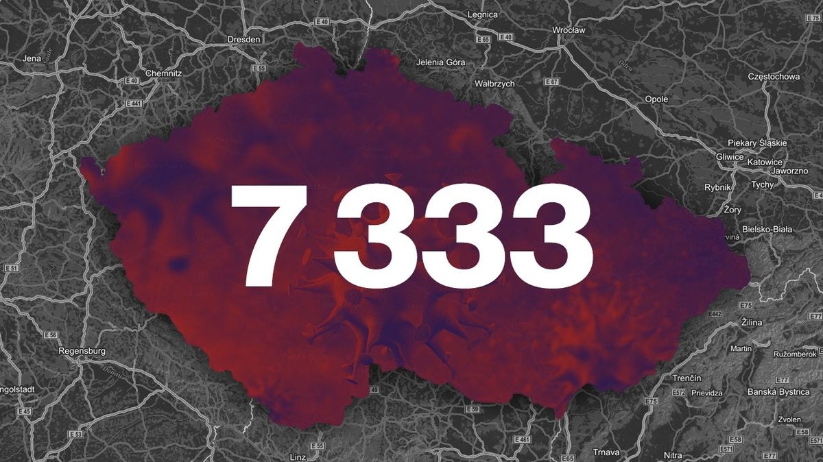 ON-LINE: V Česku je 7333 nakažených koronavirem, přibyli čtyři mrtví
